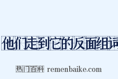 他们走到它的反面组词是什么意思的图片